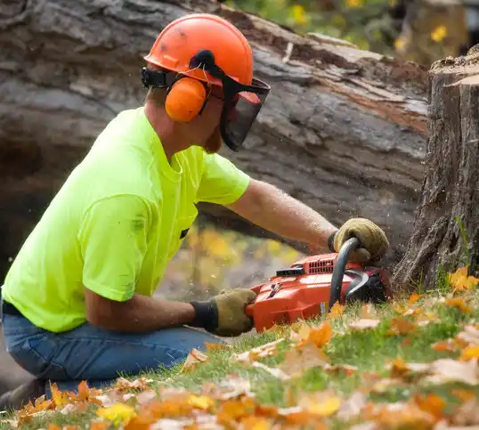 tree services Stephen